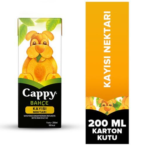 Cappy Bahçe  Apricot  Nectar Carton 200 Ml