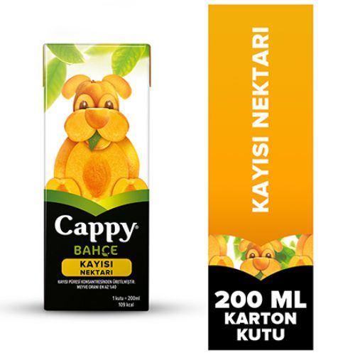 Cappy Bahçe Kayısı Nektarı Karton Kutu 200 Ml